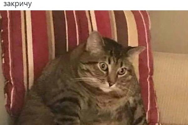 Кракен зайти