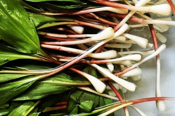 Кракен онион ссылки