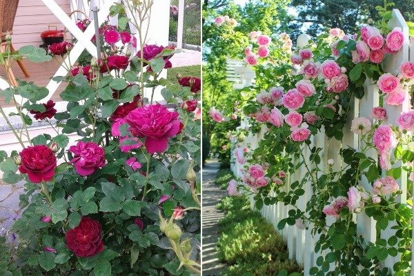 Кракен вход ссылка kraken torion net