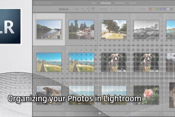 Ссылка на кракен в браузере