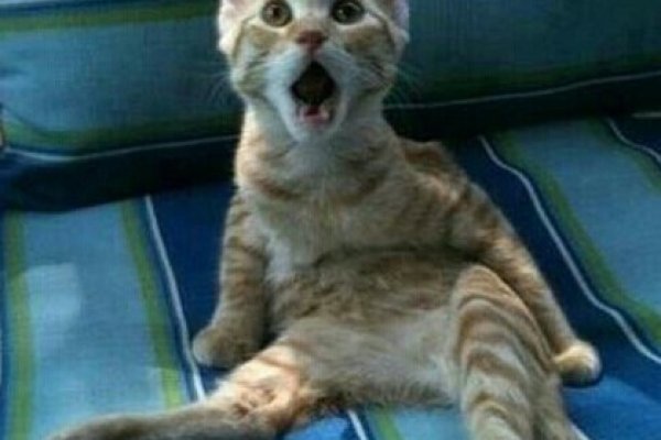 Кракен площадка ссылка