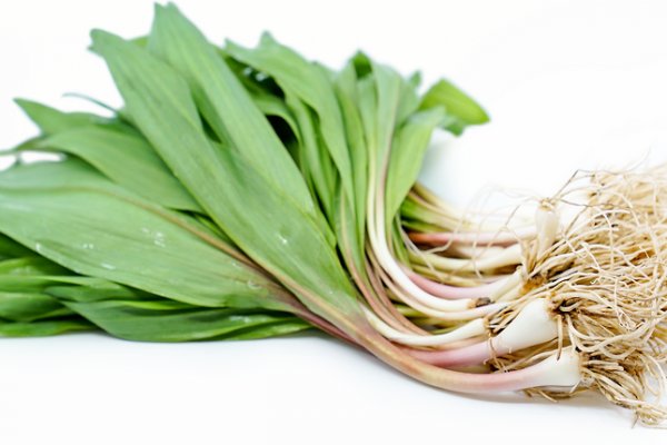 Кракен актуальная ссылка на сегодня