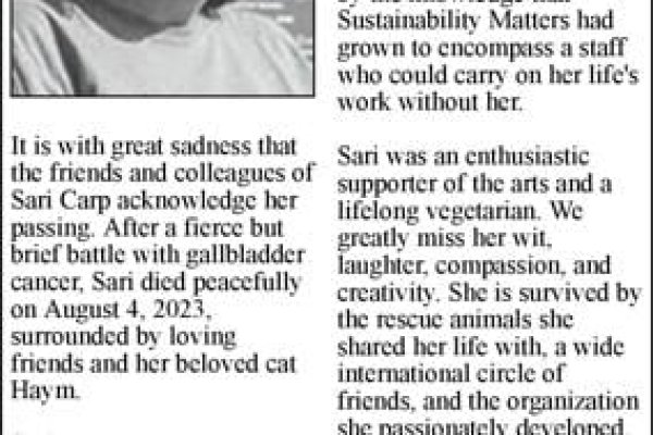 Кракен сайт что будет если зайти