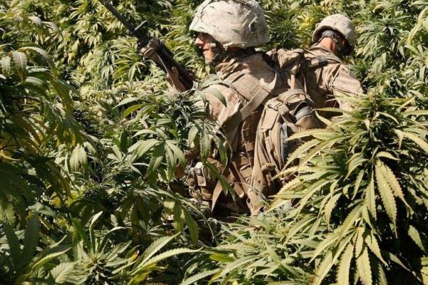 Кракен сайт что это