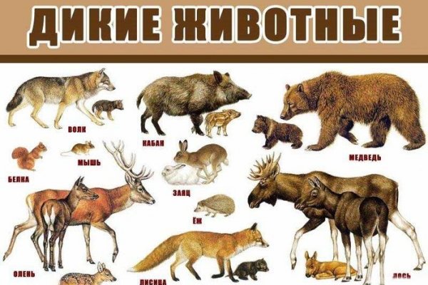 Кракен сайт как выглядит