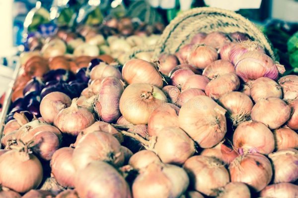 Что такое кракен в интернете