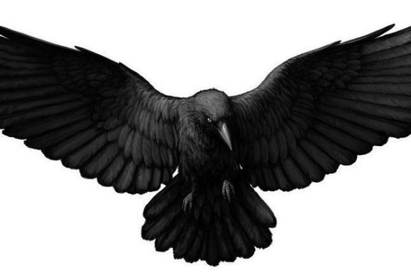 Kraken даркнет рынок ссылка