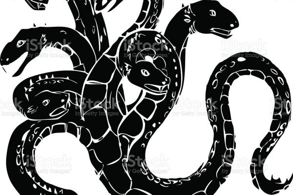 Прямая ссылка на кракен