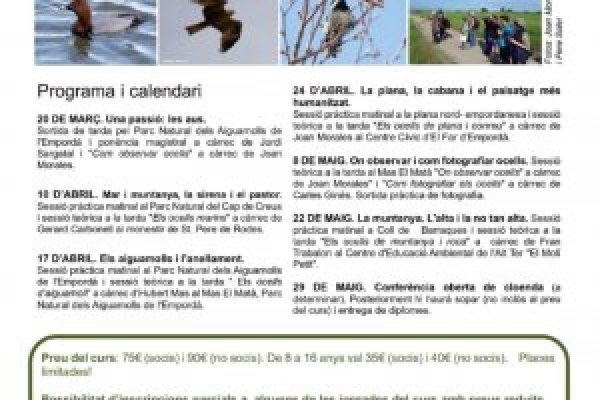 Через какой браузер можно зайти на кракен