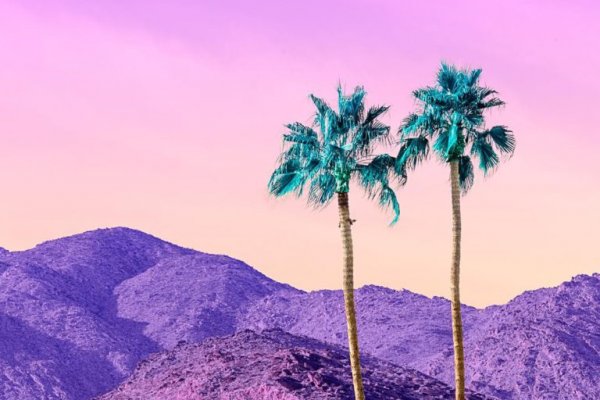 Адрес кракена