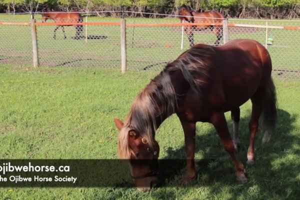 Кракен современный даркнет маркет плейс