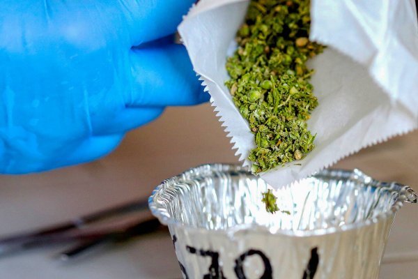 Кракен даркнет лол