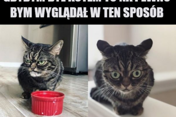 Кракен зеркало store